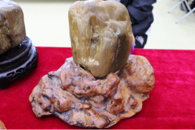 石韻煤魂，魅力海倫——首屆奇石文化旅游節盛大開幕，焦炭產業與文化盛宴交相輝映