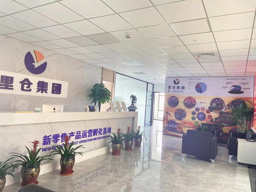 一站式投服行業(yè)服務(wù) 上海里倉(cāng)科技集團(tuán)的信息技術(shù)咨詢(xún)服務(wù)解析